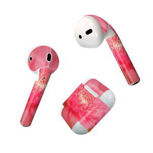 Air Pods p fUCXLV[ airpods GA|bh apple Abv AirPods ꐢi2016jairpods2 񐢑i2019jΉ Cz Jo[ fR[V ANZT[ fRV[ 023297 ԁ@t