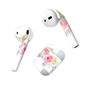 Air Pods p fUCXLV[ airpods GA|bh apple Abv AirPods ꐢi2016jairpods2 񐢑i2019jΉ Cz Jo[ fR[V ANZT[ fRV[ 023301 ԁ@t
