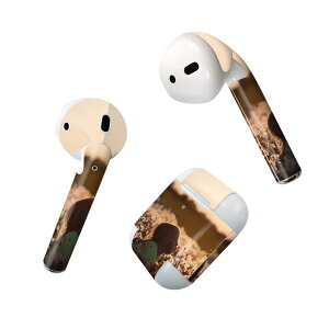 Air Pods p fUCXLV[ airpods GA|bh apple Abv AirPods ꐢi2016jairpods2 񐢑i2019jΉ Cz Jo[ fR[V ANZT[ fRV[ 023303 l@