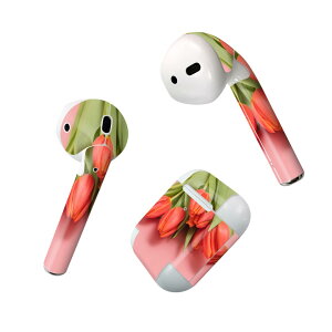 Air Pods p fUCXLV[ airpods GA|bh apple Abv AirPods ꐢi2016jairpods2 񐢑i2019jΉ Cz Jo[ fR[V ANZT[ fRV[ 023309 ԁ@t