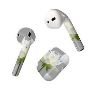 Air Pods p fUCXLV[ airpods GA|bh apple Abv AirPods ꐢi2016jairpods2 񐢑i2019jΉ Cz Jo[ fR[V ANZT[ fRV[ 023324 ԁ@t