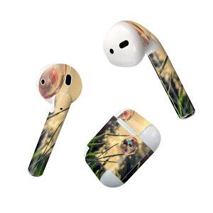 Air Pods p fUCXLV[ airpods GA|bh apple Abv AirPods ꐢi2016jairpods2 񐢑i2019jΉ Cz Jo[ fR[V ANZT[ fRV[ 023404 