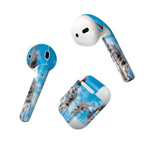 Air Pods ��p �f�U�C���X�L���V�[�� airpods �G�A�|�b�h apple �A�b�v�� AirPods ��ꐢ��i2016�jairpods2 ��񐢑�i2019�j�Ή� �C���z�� �J�o�[ �f�R���[�V���� �A�N�Z�T���[ �f�R�V�[�� 023406 �ʐ^�@