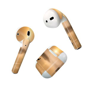 Air Pods p fUCXLV[ airpods GA|bh apple Abv AirPods ꐢi2016jairpods2 񐢑i2019jΉ Cz Jo[ fR[V ANZT[ fRV[ 023408 @