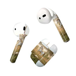 Air Pods p fUCXLV[ airpods GA|bh apple Abv AirPods ꐢi2016jairpods2 񐢑i2019jΉ Cz Jo[ fR[V ANZT[ fRV[ 023441 [