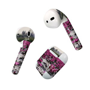 Air Pods p fUCXLV[ airpods GA|bh apple Abv AirPods ꐢi2016jairpods2 񐢑i2019jΉ Cz Jo[ fR[V ANZT[ fRV[ 023484 ԁ@t