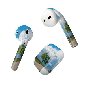 Air Pods p fUCXLV[ airpods GA|bh apple Abv AirPods ꐢi2016jairpods2 񐢑i2019jΉ Cz Jo[ fR[V ANZT[ fRV[ 023492 iF@