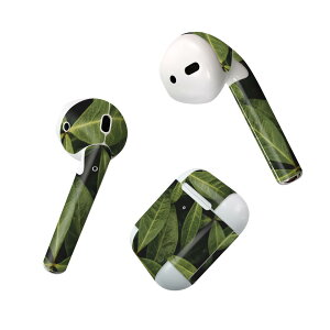 Air Pods ��p �f�U�C���X�L���V�[�� airpods �G�A�|�b�h apple �A�b�v�� AirPods ��ꐢ��i2016�jairpods2 ��񐢑�i2019�j�Ή� �C���z�� �J�o�[ �f�R���[�V���� �A�N�Z�T���[ �f�R�V�[�� 023507 �t����