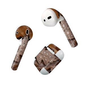 Air Pods p fUCXLV[ airpods GA|bh apple Abv AirPods ꐢi2016jairpods2 񐢑i2019jΉ Cz Jo[ fR[V ANZT[ fRV[ 023509 t