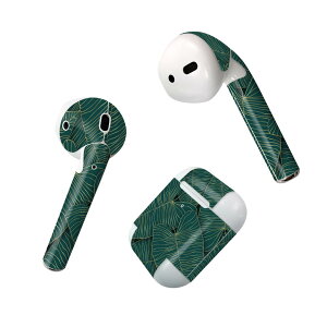 Air Pods ��p �f�U�C���X�L���V�[�� airpods �G�A�|�b�h apple �A�b�v�� AirPods ��ꐢ��i2016�jairpods2 ��񐢑�i2019�j�Ή� �C���z�� �J�o�[ �f�R���[�V���� �A�N�Z�T���[ �f�R�V�[�� 023511 �t����