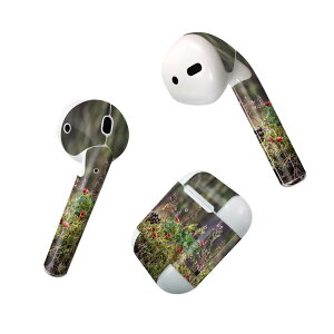 Air Pods p fUCXLV[ airpods GA|bh apple Abv AirPods ꐢi2016jairpods2 񐢑i2019jΉ Cz Jo[ fR[V ANZT[ fRV[ 023583 H@A
