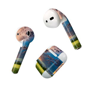 Air Pods p fUCXLV[ airpods GA|bh apple Abv AirPods ꐢi2016jairpods2 񐢑i2019jΉ Cz Jo[ fR[V ANZT[ fRV[ 023606 iF@