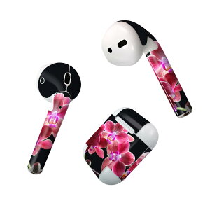 Air Pods ��p �f�U�C���X�L���V�[�� airpods �G�A�|�b�h apple �A�b�v�� AirPods ��ꐢ��i2016�jairpods2 ��񐢑�i2019�j�Ή� �C���z�� �J�o�[ �f�R���[�V���� �A�N�Z�T���[ �f�R�V�[�� 023629 �ԁ@�t