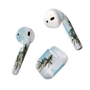 Air Pods p fUCXLV[ airpods GA|bh apple Abv AirPods ꐢi2016jairpods2 񐢑i2019jΉ Cz Jo[ fR[V ANZT[ fRV[ 023646 V