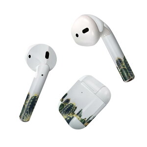 Air Pods ��p �f�U�C���X�L���V�[�� airpods �G�A�|�b�h apple �A�b�v�� AirPods ��ꐢ��i2016�jairpods2 ��񐢑�i2019�j�Ή� �C���z�� �J�o�[ �f�R���[�V���� �A�N�Z�T���[ �f�R�V�[�� 023686 �T�{�e