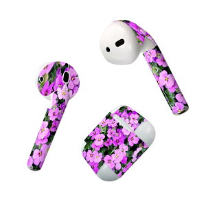 Air Pods p fUCXLV[ airpods GA|bh apple Abv AirPods ꐢi2016jairpods2 񐢑i2019jΉ Cz Jo[ fR[V ANZT[ fRV[ 023703 ԁ@t