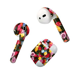 Air Pods ��p �f�U�C���X�L���V�[�� airpods �G�A�|�b�h apple �A�b�v�� AirPods ��ꐢ��i2016�jairpods2 ��񐢑�i2019�j�Ή� �C���z�� �J�o�[ �f�R���[�V���� �A�N�Z�T���[ �f�R�V�[�� 023740 �ԁ@�t