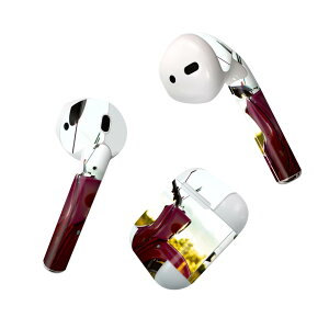 Air Pods ��p �f�U�C���X�L���V�[�� airpods �G�A�|�b�h apple �A�b�v�� AirPods ��ꐢ��i2016�jairpods2 ��񐢑�i2019�j�Ή� �C���z�� �J�o�[ �f�R���[�V���� �A�N�Z�T���[ �f�R�V�[�� 023763 �o�C�N