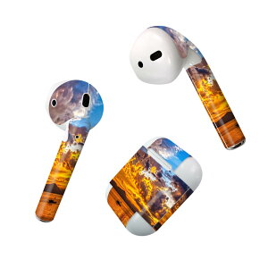 Air Pods p fUCXLV[ airpods GA|bh apple Abv AirPods ꐢi2016jairpods2 񐢑i2019jΉ Cz Jo[ fR[V ANZT[ fRV[ 023765 [@