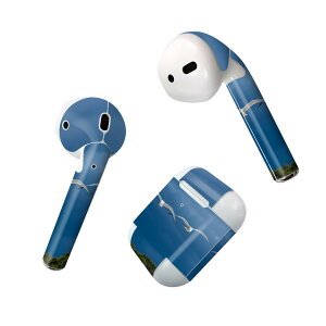Air Pods p fUCXLV[ airpods GA|bh apple Abv AirPods ꐢi2016jairpods2 񐢑i2019jΉ Cz Jo[ fR[V ANZT[ fRV[ 023780 J
