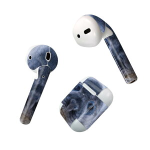 Air Pods p fUCXLV[ airpods GA|bh apple Abv AirPods ꐢi2016jairpods2 񐢑i2019jΉ Cz Jo[ fR[V ANZT[ fRV[ 023781 