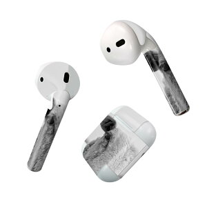 Air Pods p fUCXLV[ airpods GA|bh apple Abv AirPods ꐢi2016jairpods2 񐢑i2019jΉ Cz Jo[ fR[V ANZT[ fRV[ 023787 r@