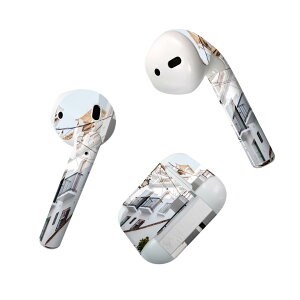 Air Pods p fUCXLV[ airpods GA|bh apple Abv AirPods ꐢi2016jairpods2 񐢑i2019jΉ Cz Jo[ fR[V ANZT[ fRV[ 023818 ʐ^@