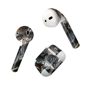 Air Pods ��p �f�U�C���X�L���V�[�� airpods �G�A�|�b�h apple �A�b�v�� AirPods ��ꐢ��i2016�jairpods2 ��񐢑�i2019�j�Ή� �C���z�� �J�o�[ �f�R���[�V���� �A�N�Z�T���[ �f�R�V�[�� 023832 �H��@