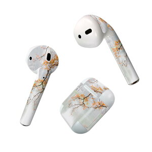 Air Pods p fUCXLV[ airpods GA|bh apple Abv AirPods ꐢi2016jairpods2 񐢑i2019jΉ Cz Jo[ fR[V ANZT[ fRV[ 023867 i@