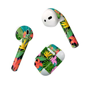 Air Pods ��p �f�U�C���X�L���V�[�� airpods �G�A�|�b�h apple �A�b�v�� AirPods ��ꐢ��i2016�jairpods2 ��񐢑�i2019�j�Ή� �C���z�� �J�o�[ �f�R���[�V���� �A�N�Z�T���[ �f�R�V�[�� 023911 �ԁ@�t