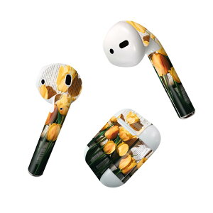 Air Pods p fUCXLV[ airpods GA|bh apple Abv AirPods ꐢi2016jairpods2 񐢑i2019jΉ Cz Jo[ fR[V ANZT[ fRV[ 023918 ԁ@t