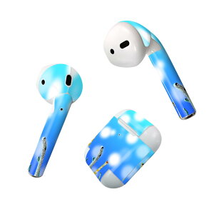 Air Pods p fUCXLV[ airpods GA|bh apple Abv AirPods ꐢi2016jairpods2 񐢑i2019jΉ Cz Jo[ fR[V ANZT[ fRV[ 025640 `A
