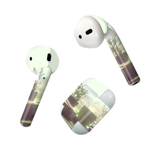 Air Pods ��p �f�U�C���X�L���V�[�� airpods �G�A�|�b�h apple �A�b�v�� AirPods ��ꐢ��i2016�jairpods2 ��񐢑�i2019�j�Ή� �C���z�� �J�o�[ �f�R���[�V���� �A�N�Z�T���[ �f�R�V�[�� 025653 �R�[�q