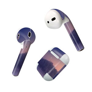 Air Pods ��p �f�U�C���X�L���V�[�� airpods �G�A�|�b�h apple �A�b�v�� AirPods ��ꐢ��i2016�jairpods2 ��񐢑�i2019�j�Ή� �C���z�� �J�o�[ �f�R���[�V���� �A�N�Z�T���[ �f�R�V�[�� 025683 ���R�@