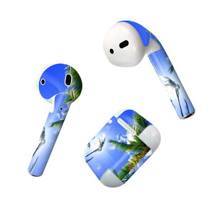 Air Pods p fUCXLV[ airpods GA|bh apple Abv AirPods ꐢi2016jairpods2 񐢑i2019jΉ Cz Jo[ fR[V ANZT[ fRV[ 025803 V