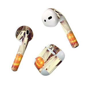 Air Pods p fUCXLV[ airpods GA|bh apple Abv AirPods ꐢi2016jairpods2 񐢑i2019jΉ Cz Jo[ fR[V ANZT[ fRV[ 025809 nE