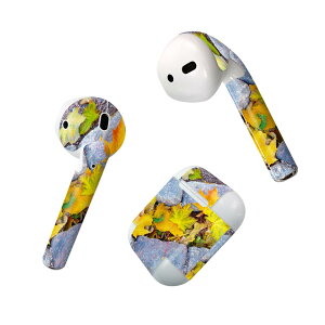 Air Pods p fUCXLV[ airpods GA|bh apple Abv AirPods ꐢi2016jairpods2 񐢑i2019jΉ Cz Jo[ fR[V ANZT[ fRV[ 025815 gt@