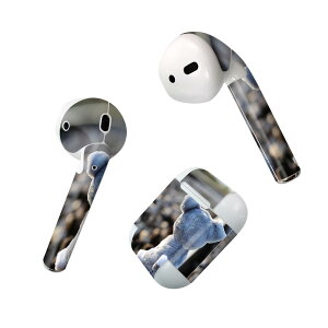 Air Pods p fUCXLV[ airpods GA|bh apple Abv AirPods ꐢi2016jairpods2 񐢑i2019jΉ Cz Jo[ fR[V ANZT[ fRV[ 025848 H@