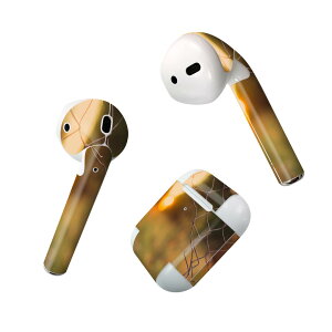 Air Pods p fUCXLV[ airpods GA|bh apple Abv AirPods ꐢi2016jairpods2 񐢑i2019jΉ Cz Jo[ fR[V ANZT[ fRV[ 025915 tF