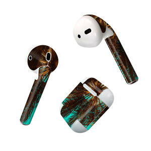 Air Pods p fUCXLV[ airpods GA|bh apple Abv AirPods ꐢi2016jairpods2 񐢑i2019jΉ Cz Jo[ fR[V ANZT[ fRV[ 025952 ā@