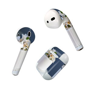 Air Pods p fUCXLV[ airpods GA|bh apple Abv AirPods ꐢi2016jairpods2 񐢑i2019jΉ Cz Jo[ fR[V ANZT[ fRV[ 025975 XC[