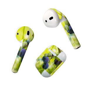 Air Pods p fUCXLV[ airpods GA|bh apple Abv AirPods ꐢi2016jairpods2 񐢑i2019jΉ Cz Jo[ fR[V ANZT[ fRV[ 026025 ʕ@