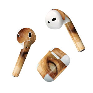 Air Pods p fUCXLV[ airpods GA|bh apple Abv AirPods ꐢi2016jairpods2 񐢑i2019jΉ Cz Jo[ fR[V ANZT[ fRV[ 026195 z[