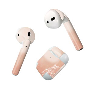Air Pods p fUCXLV[ airpods GA|bh apple Abv AirPods ꐢi2016jairpods2 񐢑i2019jΉ Cz Jo[ fR[V ANZT[ fRV[ 004820 @