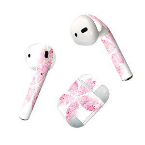 Air Pods p fUCXLV[ airpods GA|bh apple Abv AirPods ꐢi2016jairpods2 񐢑i2019jΉ Cz Jo[ fR[V ANZT[ fRV[ 005304 @