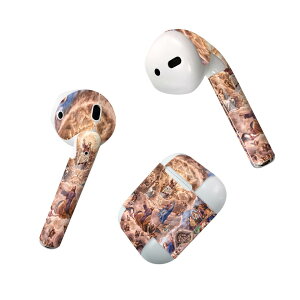 Air Pods p fUCXLV[ airpods GA|bh apple Abv AirPods ꐢi2016jairpods2 񐢑i2019jΉ Cz Jo[ fR[V ANZT[ fRV[ 005769 G@