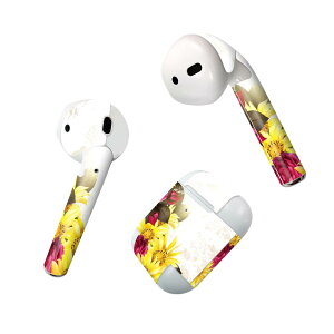 Air Pods p fUCXLV[ airpods GA|bh apple Abv AirPods ꐢi2016jairpods2 񐢑i2019jΉ Cz Jo[ fR[V ANZT[ fRV[ 006419 