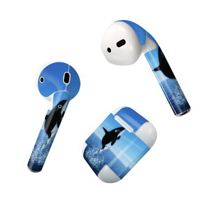Air Pods p fUCXLV[ airpods GA|bh apple Abv AirPods ꐢi2016jairpods2 񐢑i2019jΉ Cz Jo[ fR[V ANZT[ fRV[ 010806 V`