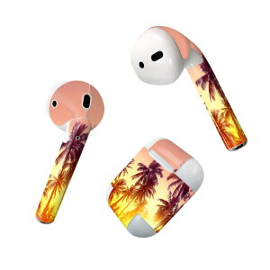 Air Pods p fUCXLV[ airpods GA|bh apple Abv AirPods ꐢi2016jairpods2 񐢑i2019jΉ Cz Jo[ fR[V ANZT[ fRV[ 011302 ā@