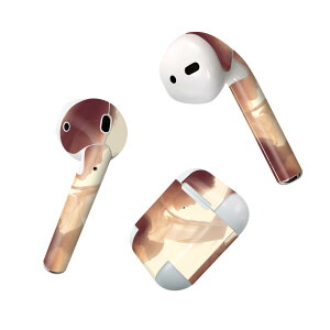 Air Pods p fUCXLV[ airpods GA|bh apple Abv AirPods ꐢi2016jairpods2 񐢑i2019jΉ Cz Jo[ fR[V ANZT[ fRV[ 011539 